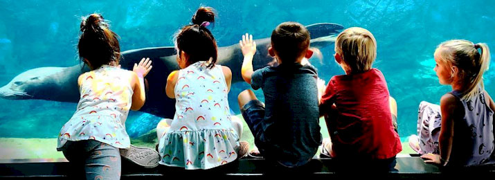 Aquarium of the Pacific. Save Over 50%