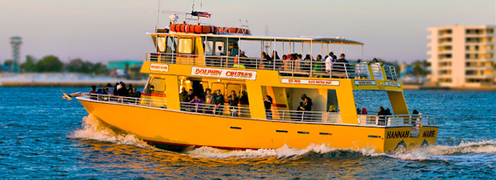 Click here for Olin Marler Dolphin Cruise