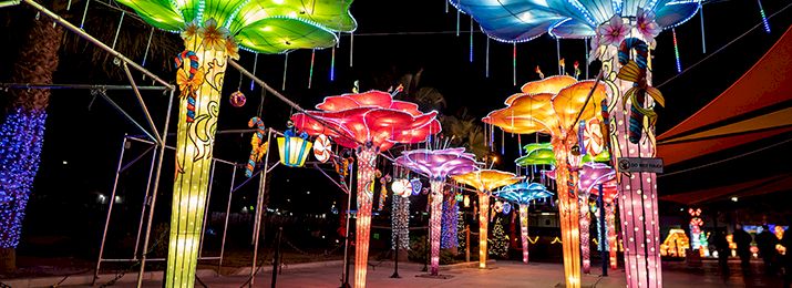Festival of Lanterns at Cowabunga Bay Water Park