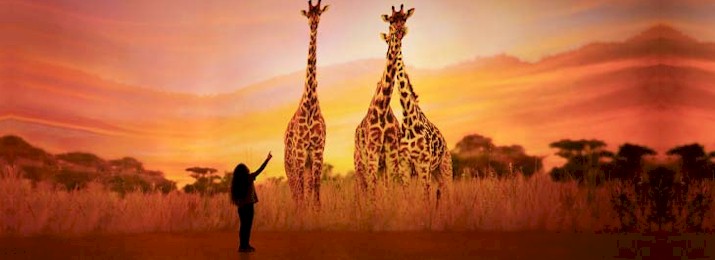 Save up to 30% Off Las Vegas Sightseeing Attraction Pass