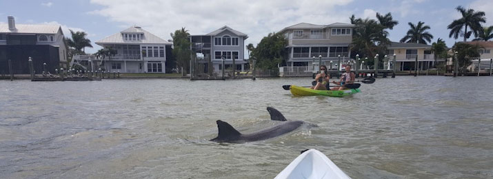 Fort Myers Kayak Rentals Get the Lowest Price