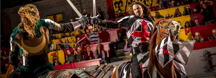 Save Up To 35% Off Medieval Times Dinner & Tournament Discount Tickets