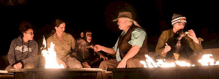 Doc Antle’s Wild Encounters Night Safari at Myrtle Beach Safari