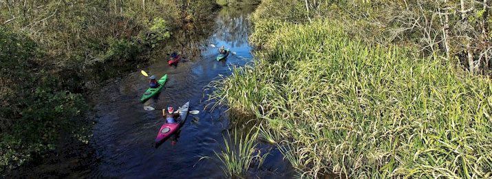 Charleston Kayak and Paddleboard Rentals with Nature Adventures. Save 10%