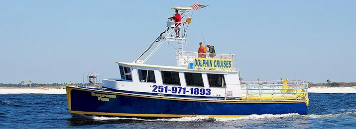 The Fun Boats Dolphin Cruise and Sealife Experience