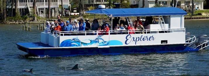 Dolphin Eco Cruise on The Explorer Orange Beach