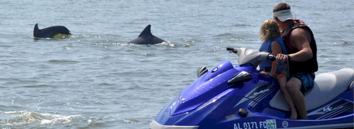 Jet Ski Waverunner Dolphin Tours in Orange Beach