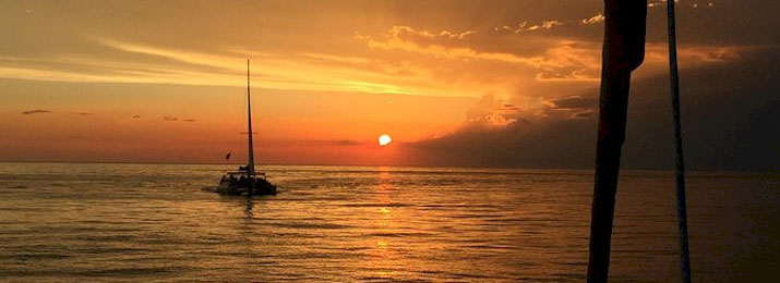 Sunset Dolphin Sail Aboard The Privateer Catamaran : LOWEST PRICE