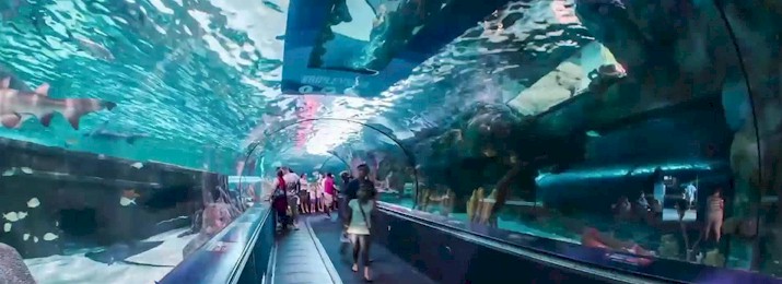 Ripley's Aquarium Myrtle Beach. Save up to 30% Or More!