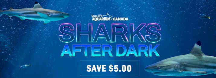 Sharks After Dark & Jazz Night at Ripley's Aquarium of Canada. Save $5.00