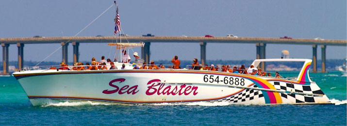 Click here for Sea Blaster Dolphin Sightseeing Cruise Discounts