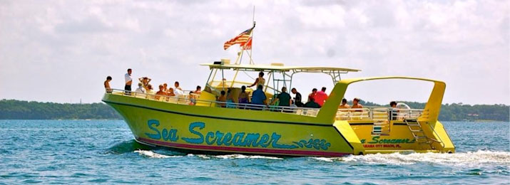 Click here for Dolphin Sightseeing Cruise Discounts