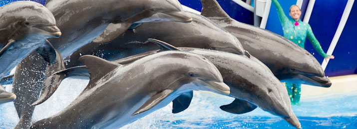 SeaWorld San Diego Coupon Codes, Promo Codes Save up to $40