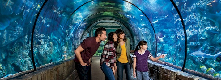 Shark Reef Aquarium Mandalay Bay Discount Coupons