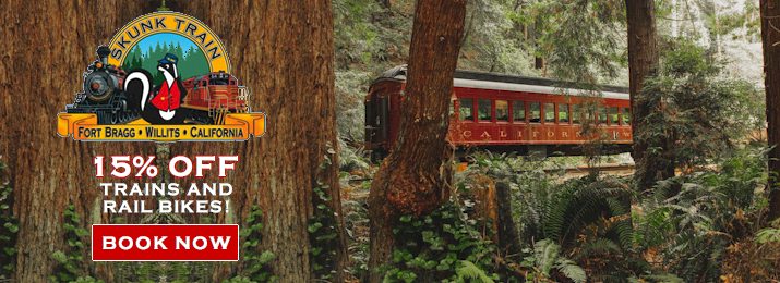 Skunk Train's Wolf Tree Turn in Willits. Save 15%