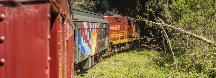 Click here to Save 15% Off The Skunk Train at Fort Bragg