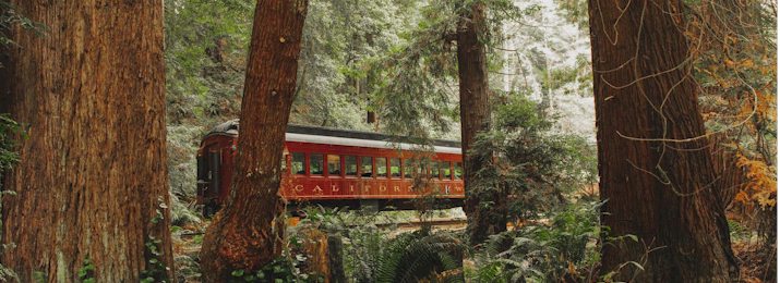 Click here to Save 15% Off The Skunk Train at Fort Bragg