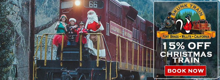 Mr. Skunk's Magic Christmas Tree Train. Save 15% with Coupon Code