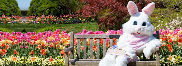 Skunk Train's Easter Express 15% Off Coupon Code, Promo Code