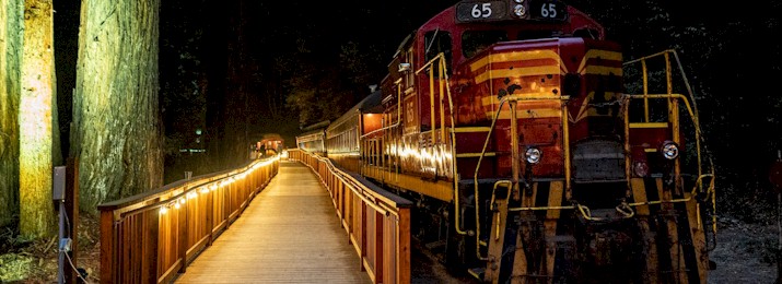 Click here to Save 15% Off The Skunk Train at Fort Bragg
