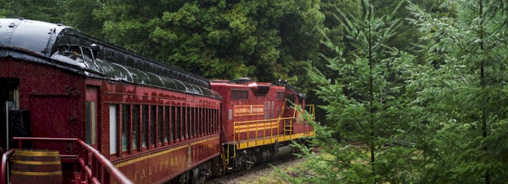 Skunk Train Wolf Tree Turn Coupon Codes - Save 15% | Destination Coupons