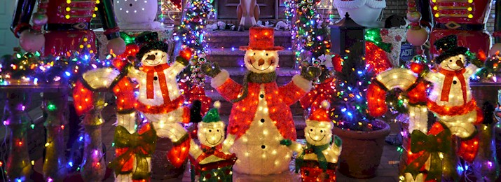 Dyker Heights & Bay Ridge Christmas Lights Tour. Save 15%