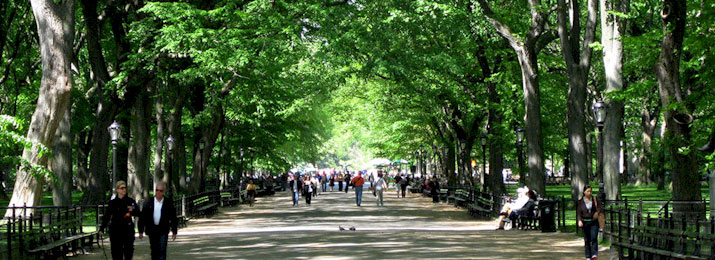 Save 20% Off Central Park Rollerblade Rentals