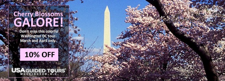 Washington DC Cherry Blossoms Tour : USA Guided Tours. Save 10%
