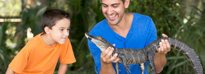 Save 20% Off Wild Florida Wildlife and Gator Park in Orlando!