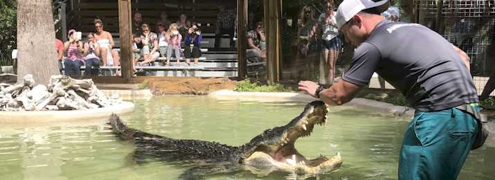 Save 20% Off Wild Florida Wildlife and Gator Park in Orlando!