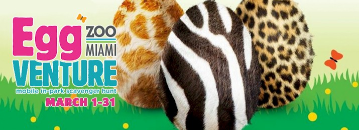 Zoo Miami Discount Tickets. Save up to $9.00