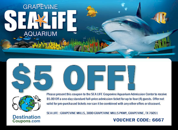 Coupon for dallas aquarium